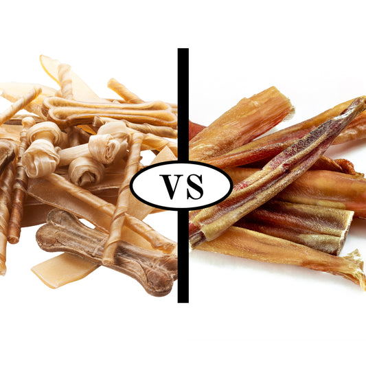 Bully Sticks vs. Rawhide: Making the Right Choice for Your Dog