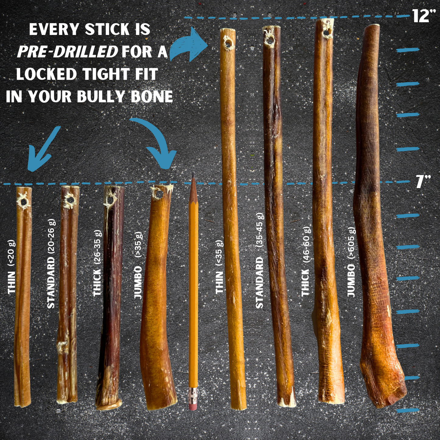 7" Thick Bully Sticks - Bully Bone Included