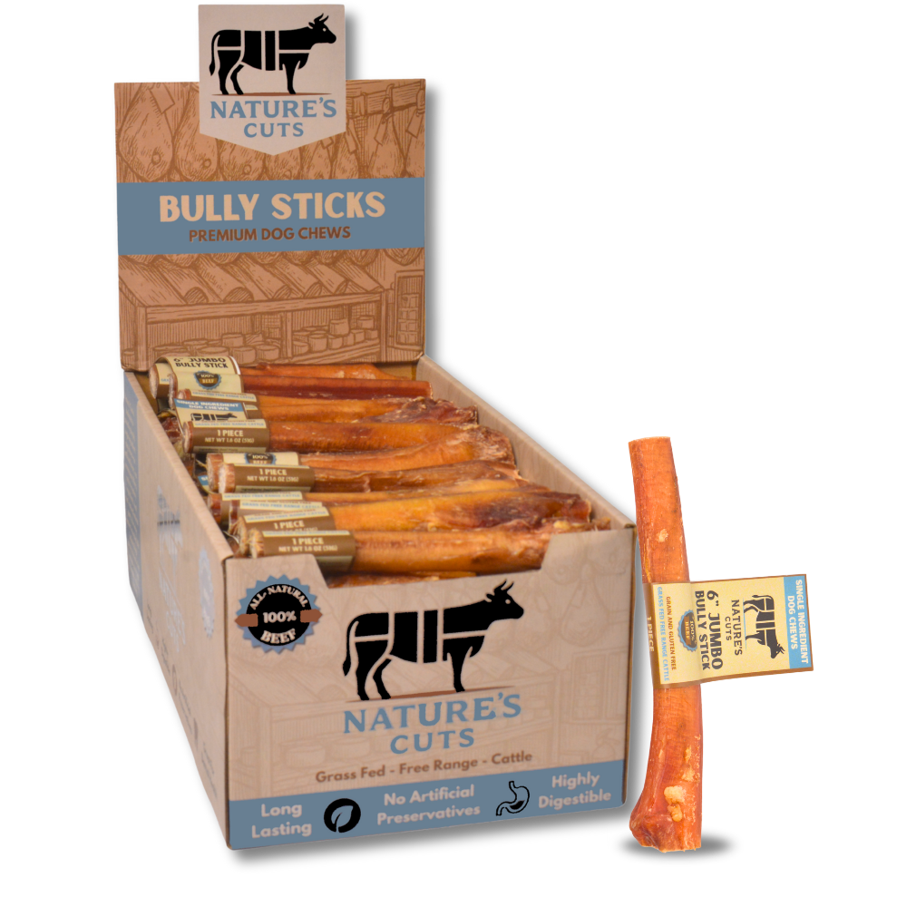 6" Jumbo Bully Sticks Display Box