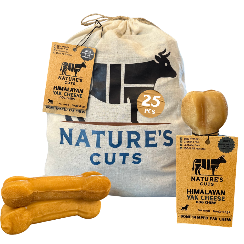 Bone Shaped Yak Cheese w/ Tag – Mighty Chewz