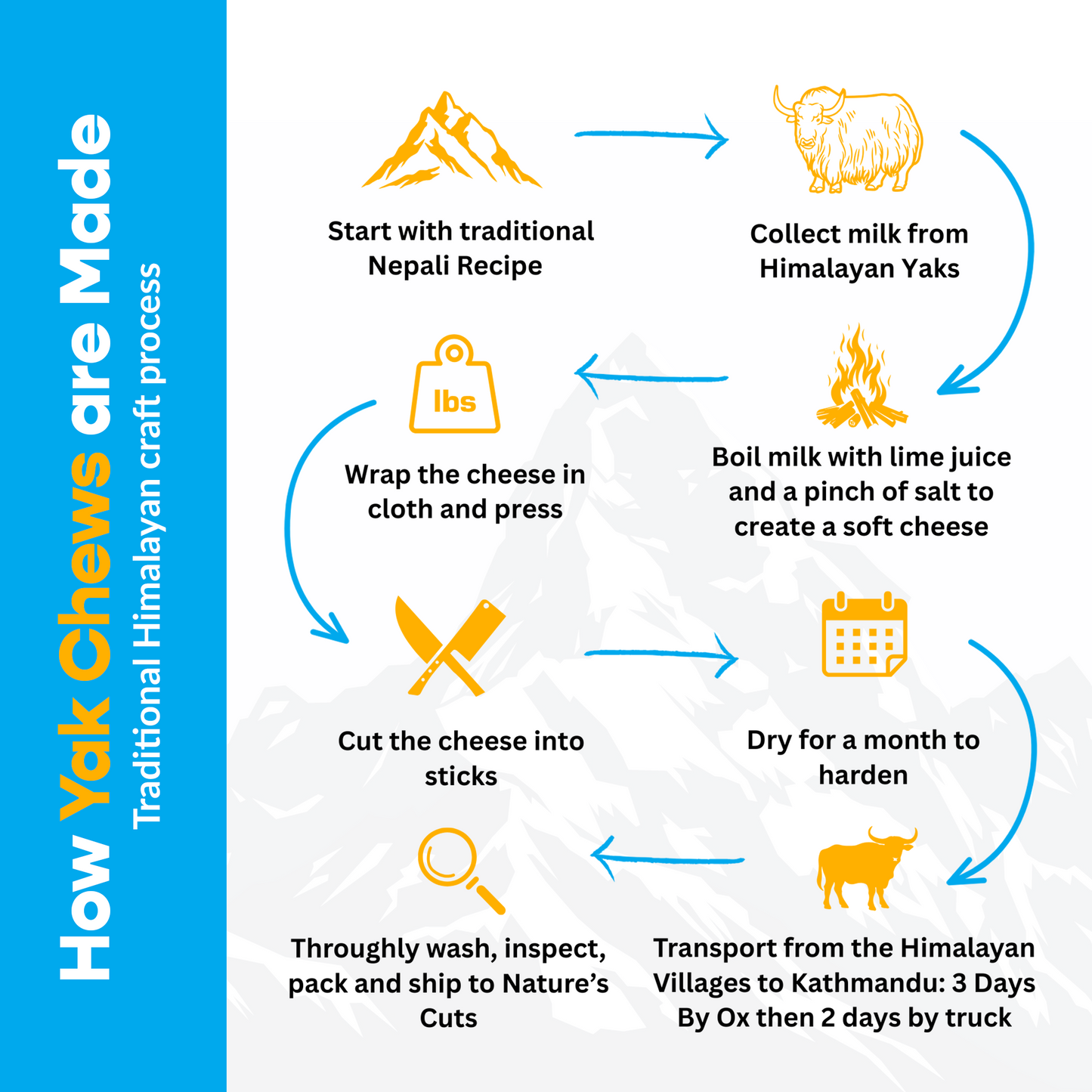 4 Pack XL Yak Cheese - UPGRADED Bully Bone Included