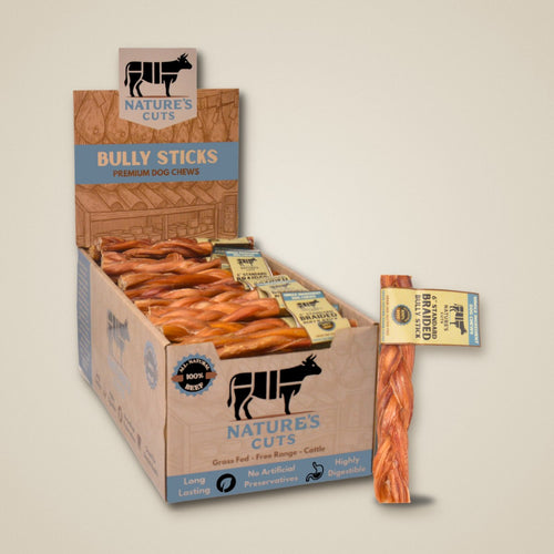 6" Standard Braided Bully Sticks Display Box