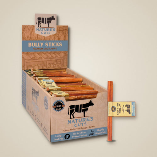 6" Thin Bully Sticks Display Box