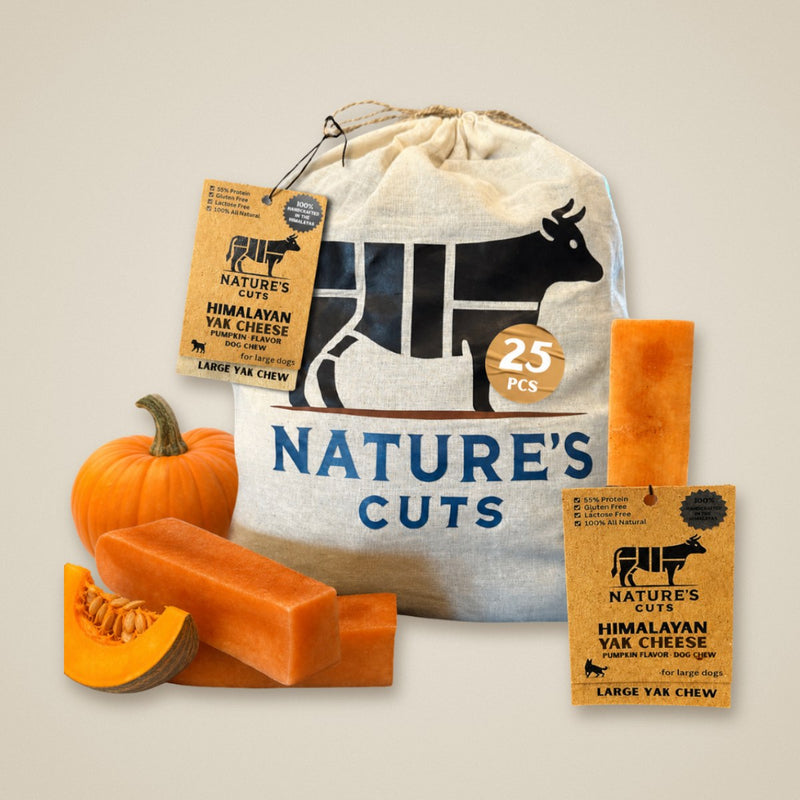 Large Pumpkin Flavored Yak Cheese w/ Tag