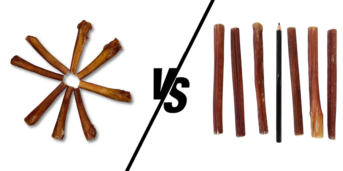 Thick vs. Thin Bully Sticks: Which Is Better?