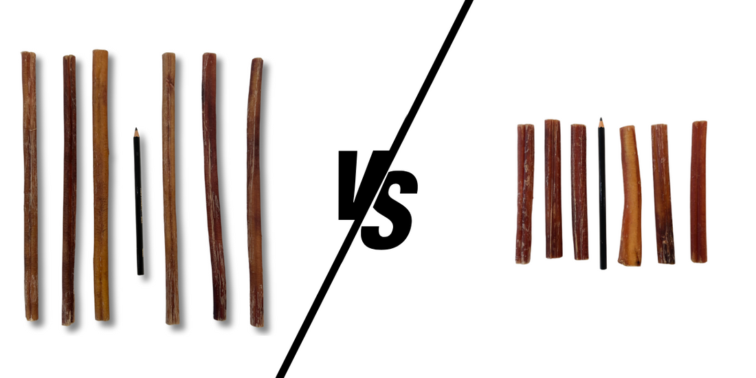 Long vs. Short Bully Sticks: Finding the Right Size