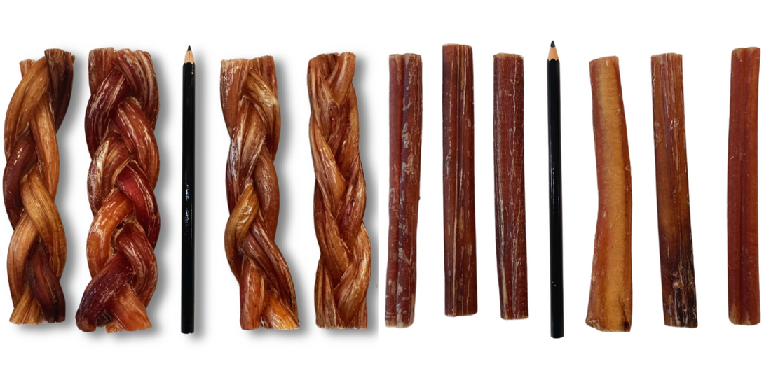 Differences Regular Braided Bully Sticks