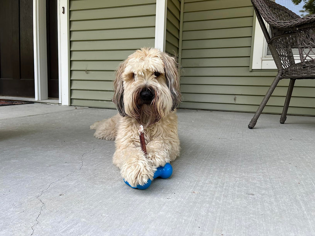 Can dogs choke on bully sticks?