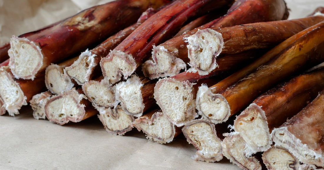 What Are Bully Sticks Made Of?