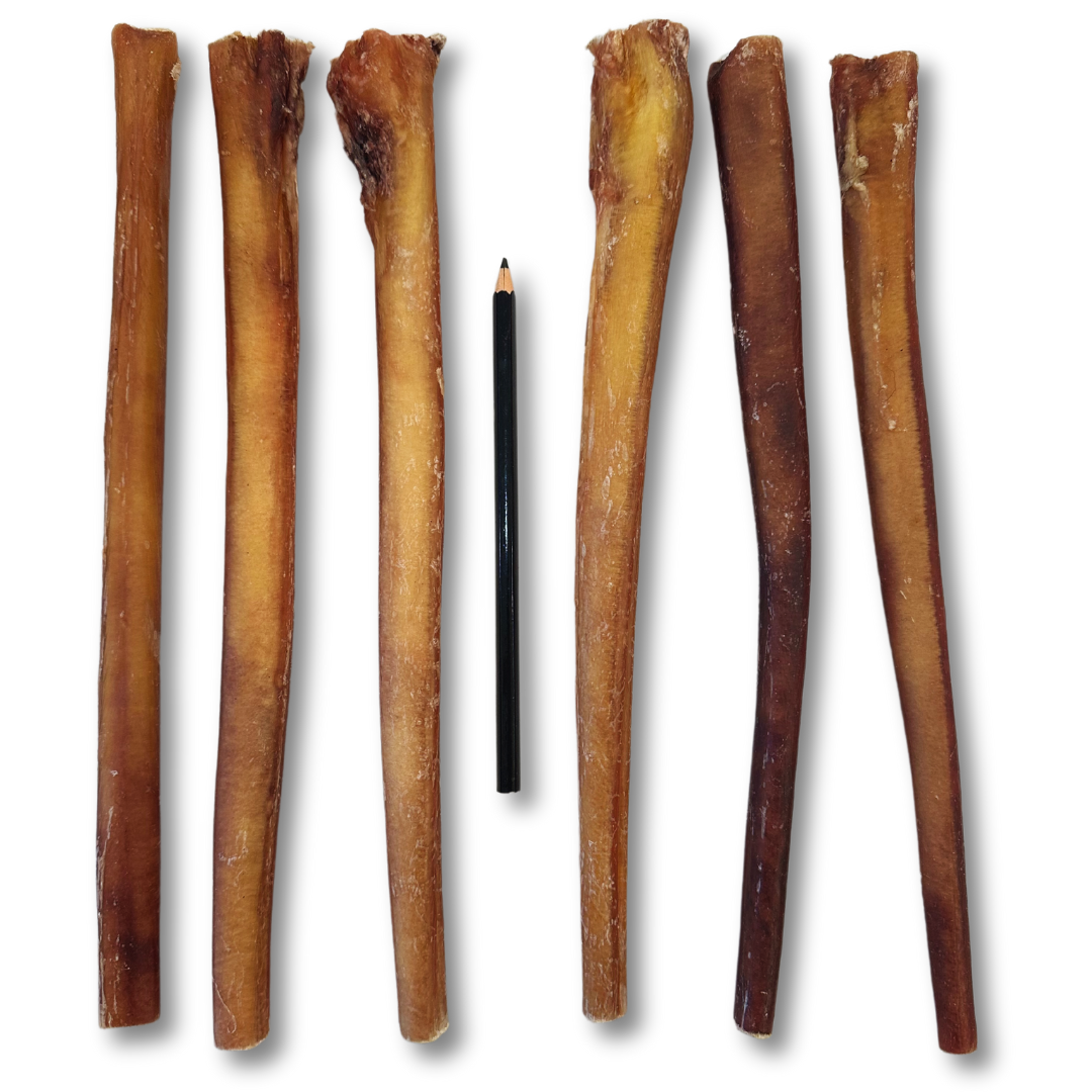 12" Jumbo Bully Sticks (100 ct.) ($4.11 ea.)