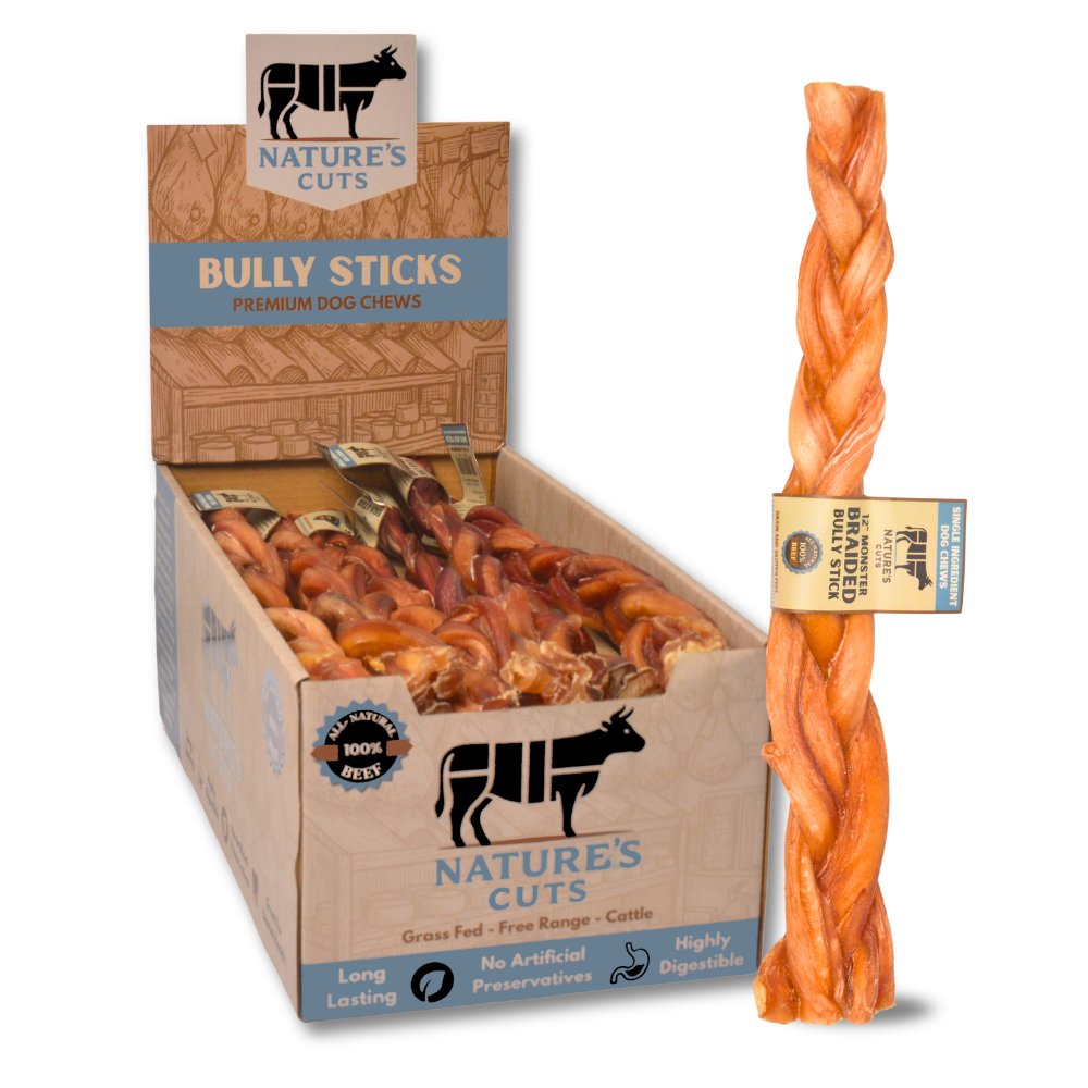 12" Monster Braided Bully Sticks Display Box