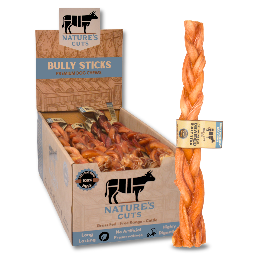 12" Monster Braided Bully Sticks Display Box