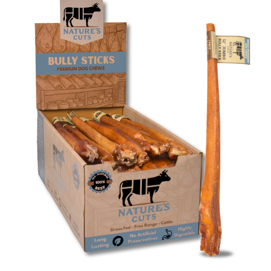 12" Jumbo Bully Sticks Display Box