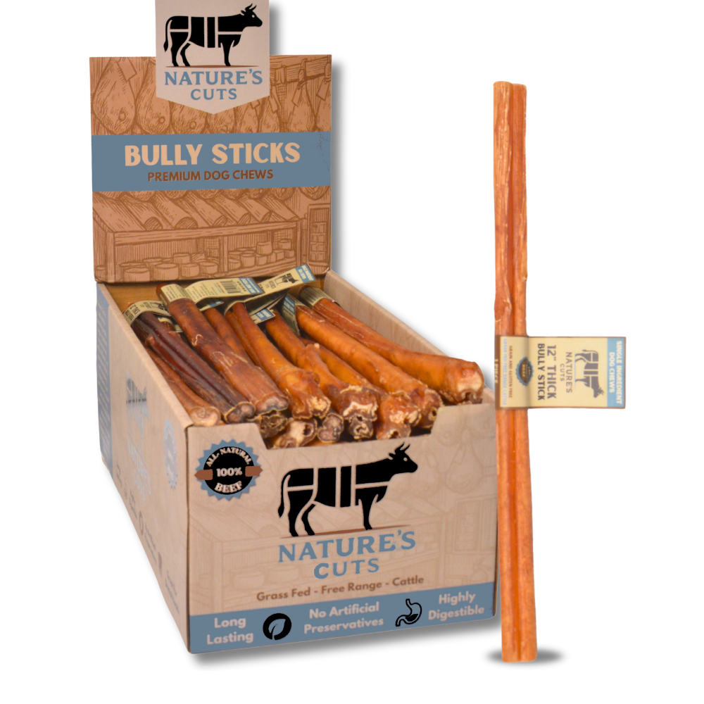 12" Thick Bully Sticks Display Box