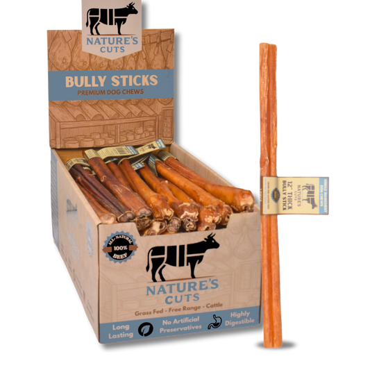 12" Thick Bully Sticks Display Box
