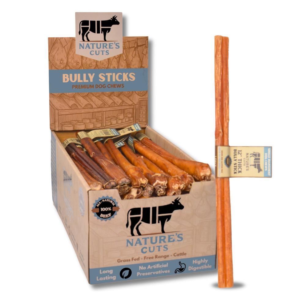 12" Thick Bully Sticks Display Box