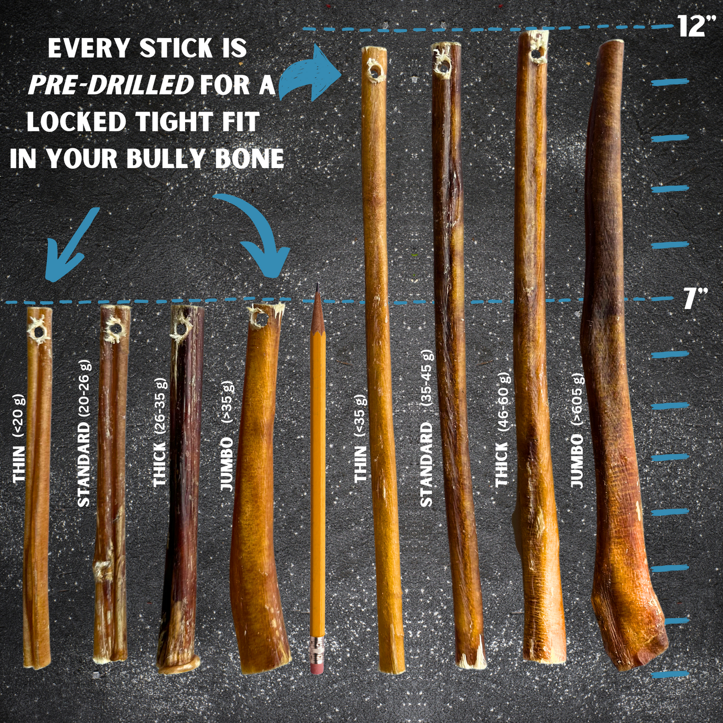 7" Standard Bully Sticks - Bully Bone Included