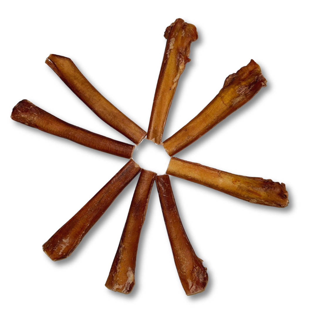 6" Jumbo Bully Sticks (200 ct.) ($2.63 ea.)