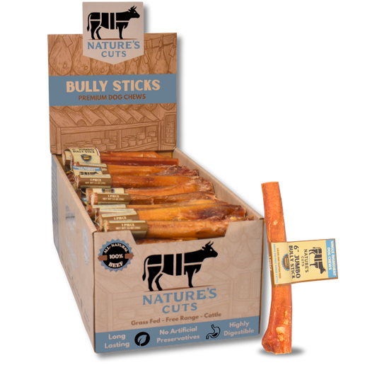 6" Jumbo Bully Sticks Display Box