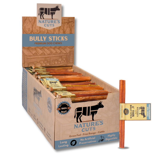 6" Thin Bully Sticks Display Box
