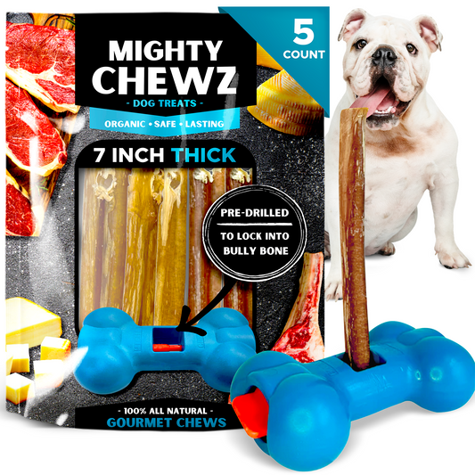 7" Thick Bully Sticks - Bully Bone Included