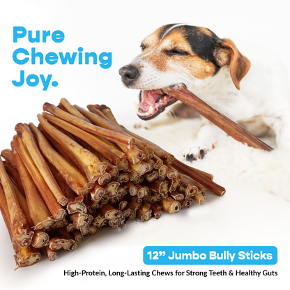 12" Standard 200 ct. Bully Sticks ($2.30 ea.)