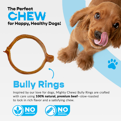 4" Bully Rings 90 ct. ($1.68 ea.)
