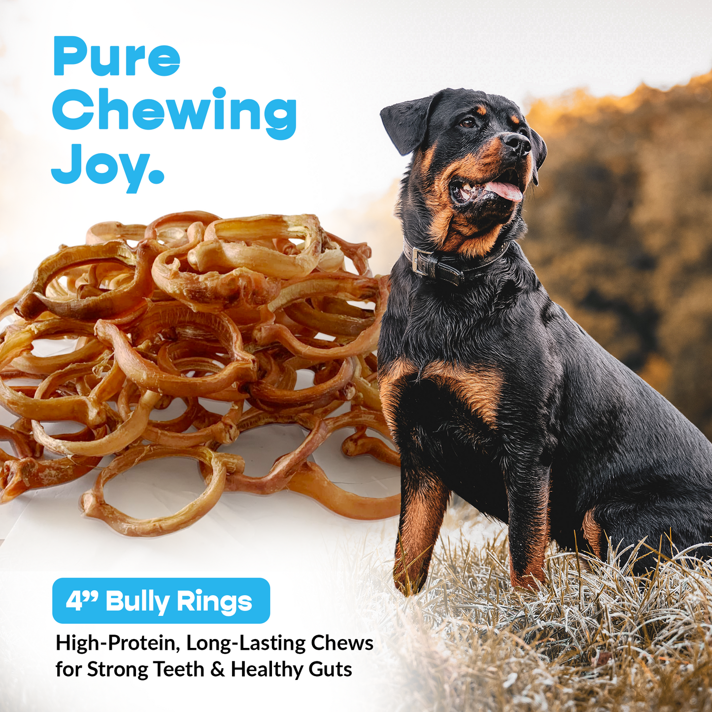 4" Bully Rings 90 ct. ($1.68 ea.)