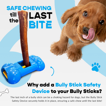Yak Cheese and Bully Stick Medium Combo Pack with Holder