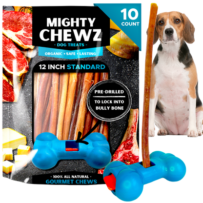 12" Standard Bully Sticks - Bully Bone Included