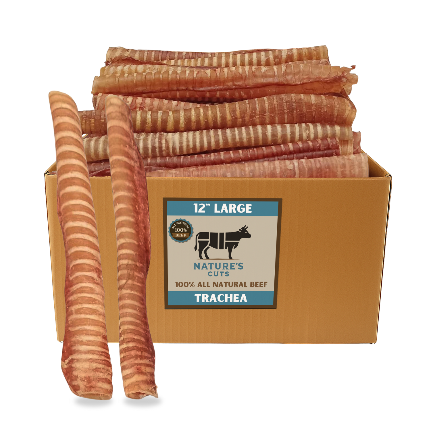 12" Large Bulk Trachea Sticks