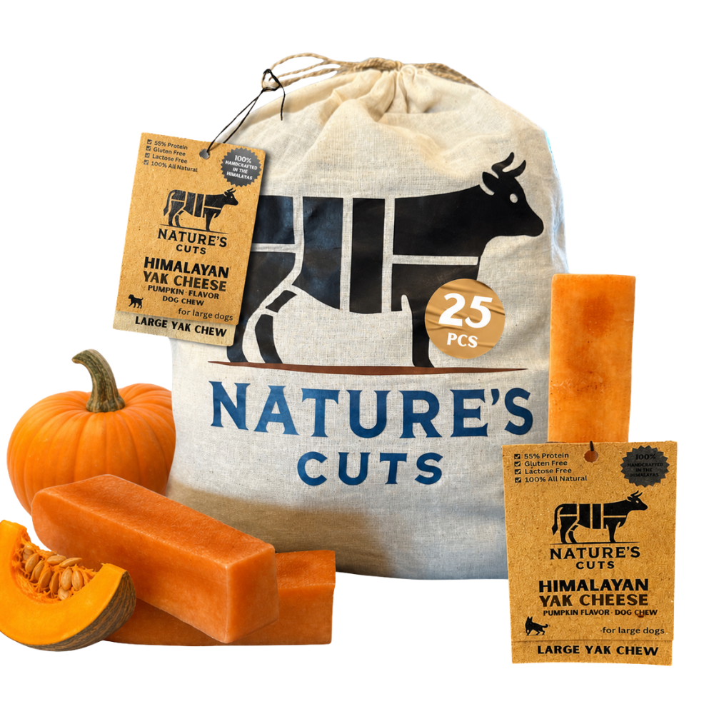 Large Pumpkin Flavored Yak Cheese w/ Tag