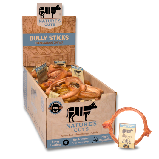 4" Bully Rings Display Box