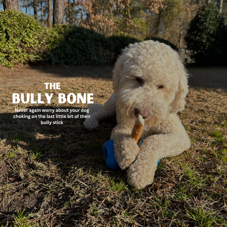 Mighty Chewz Bully Sticks. Home of the Bully Bone