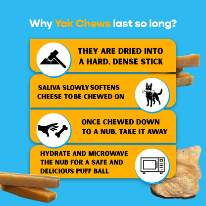 4 Pack XL Yak Cheese - UPGRADED Bully Bone Included