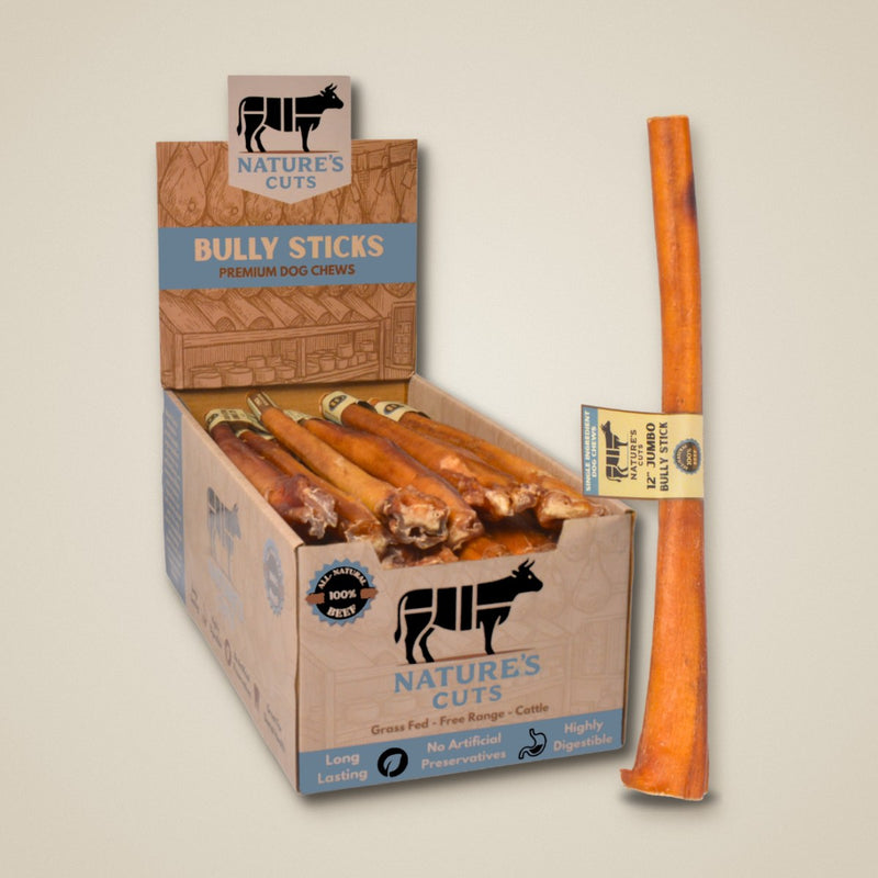 12" Jumbo Bully Sticks Display Box