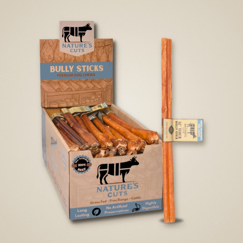 12" Thick Bully Sticks Display Box