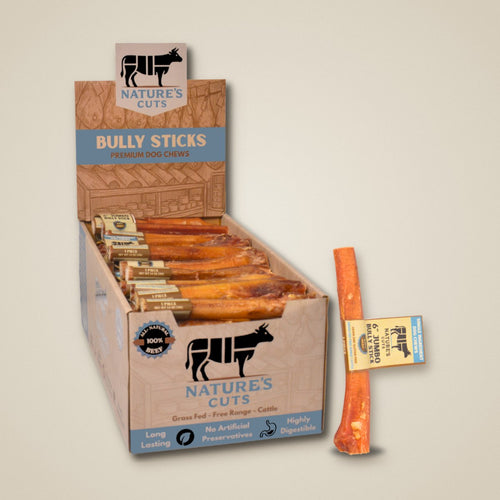 6" Jumbo Bully Sticks Display Box
